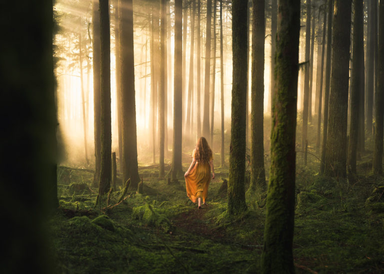 Flickr: Woodland Ambience by Elizabeth Gadd