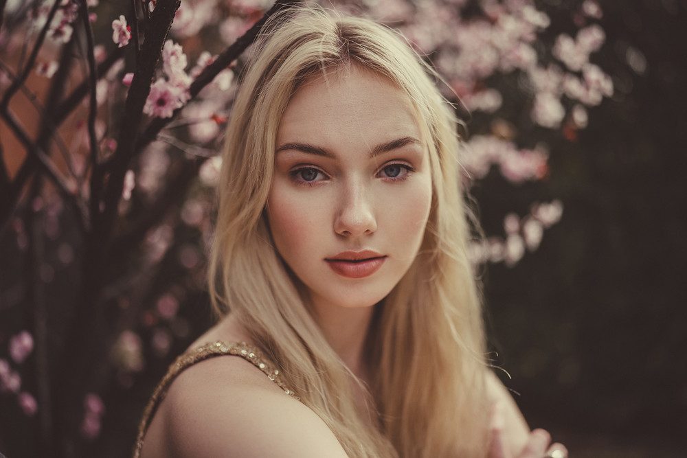 Flickr: cherry blossom by Julia Trotti