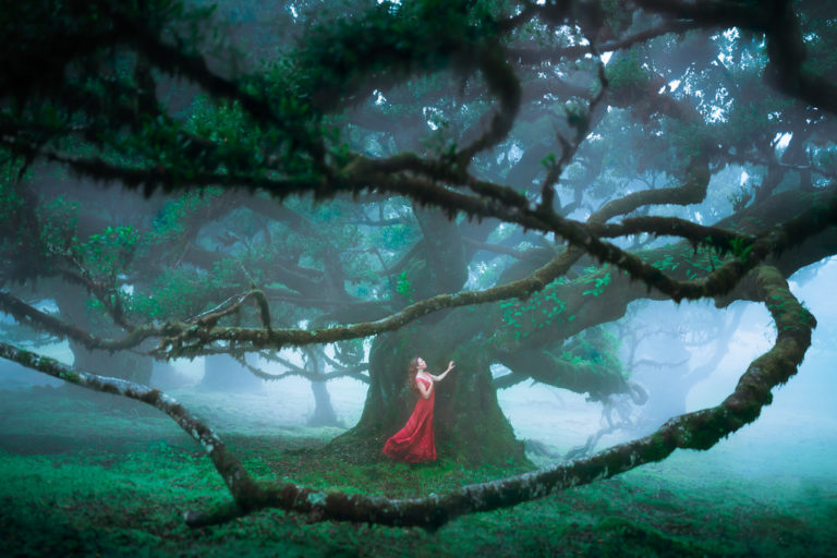 Surrounded by Serenity by Elizabeth Gadd